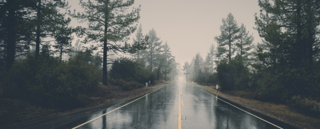 Long straight wet pine road - Psalm 5