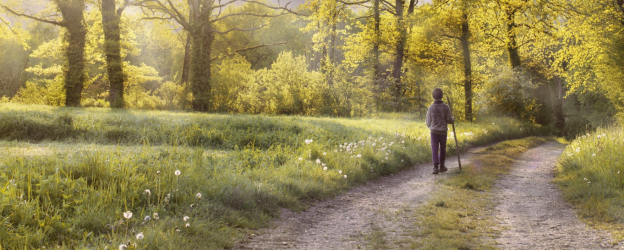 boy walking in woods - Psalm 1