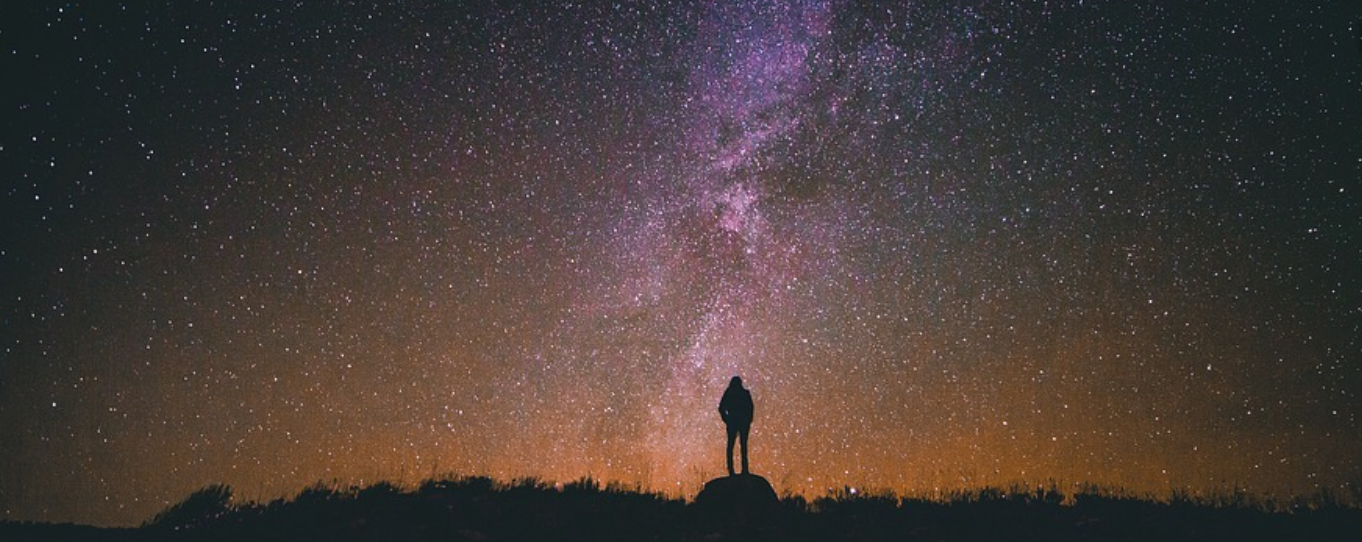 Silhouete against starry night sky
