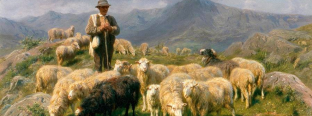 Shepherd with flock
